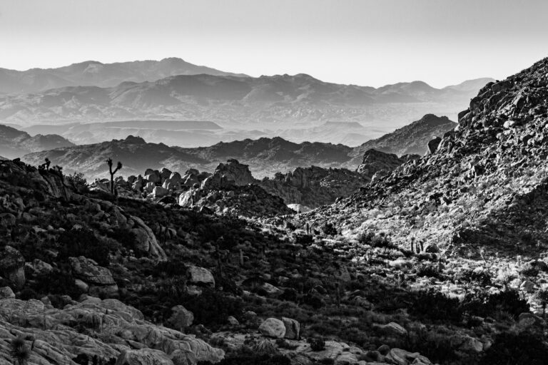 Sheep's pass Landscape, Joshua Tree National Park
