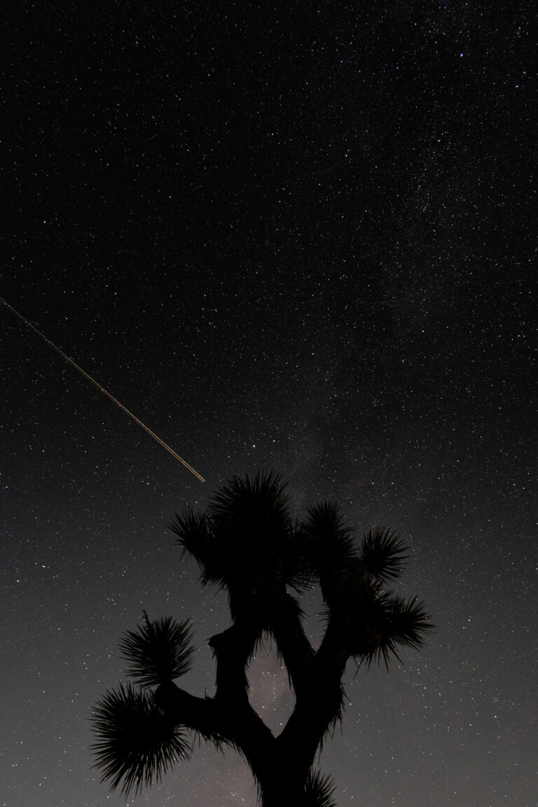 Stars in Joshua Tree National Park